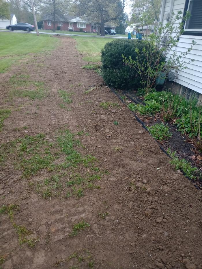 Images Black River Drain