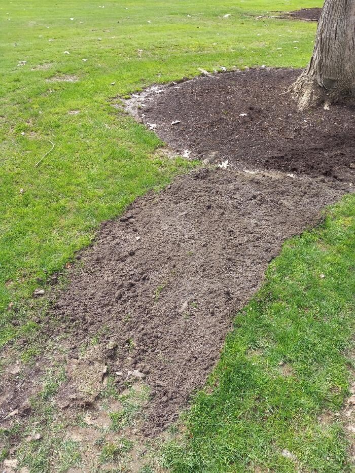 Images Black River Drain