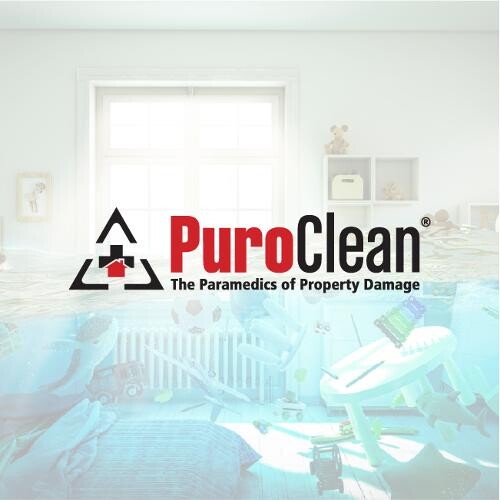 PuroClean Disaster Mitigation Logo