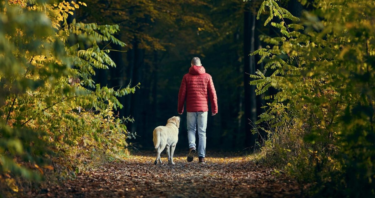 Images Onward Health & Wellness | Ketamine Therapy in Salem, OR