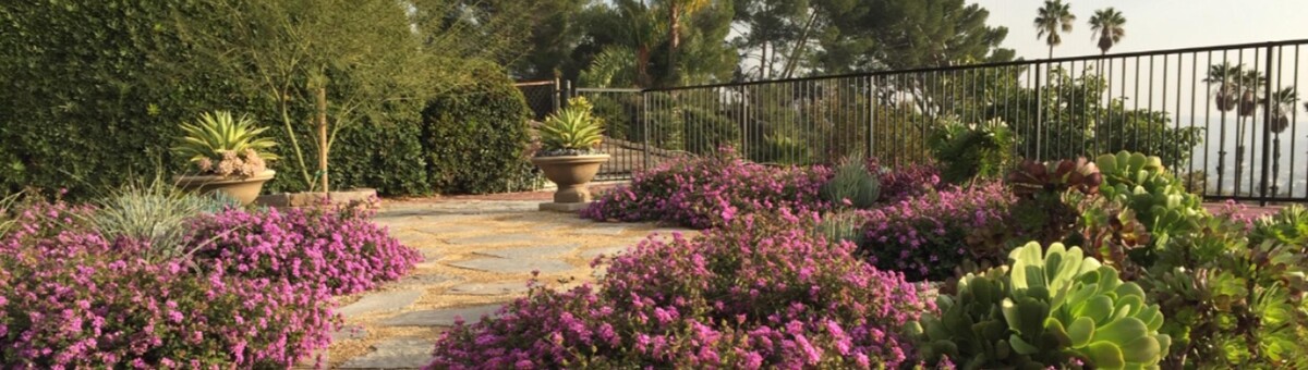 Images Creative Concepts Landscape Management