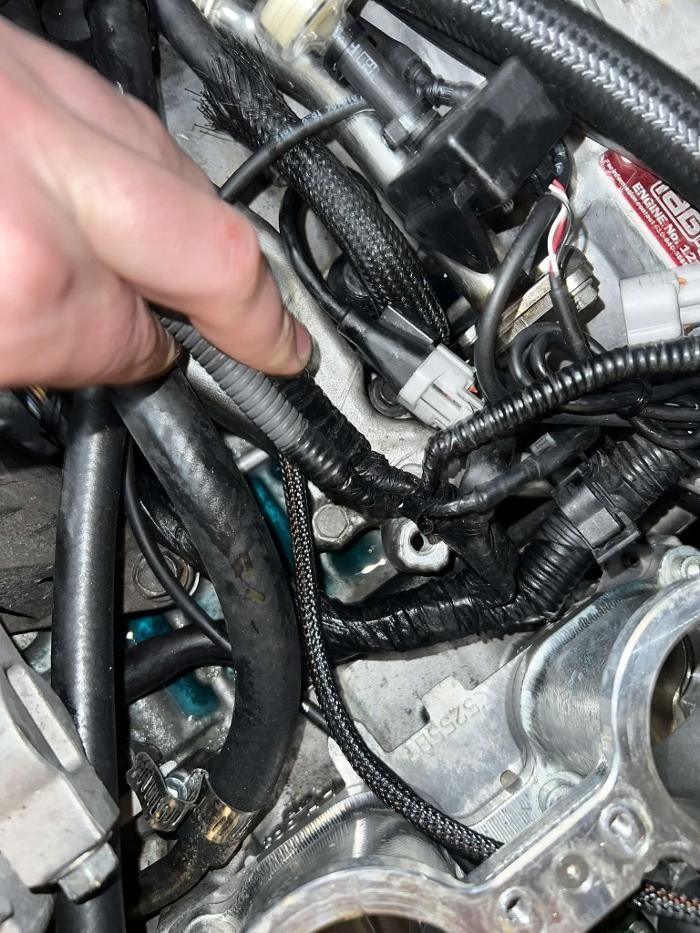 Images TLA Motorsports