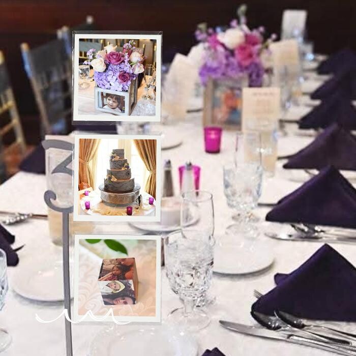 Images Timeless Tale Events