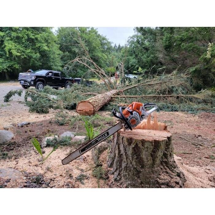 Images Hank's Tree Service