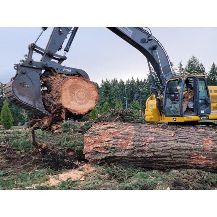 Images Hank's Tree Service