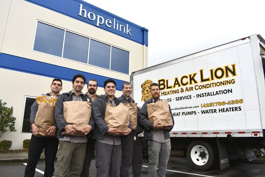 Images Black Lion Heating, Air Conditioning, & Electrical