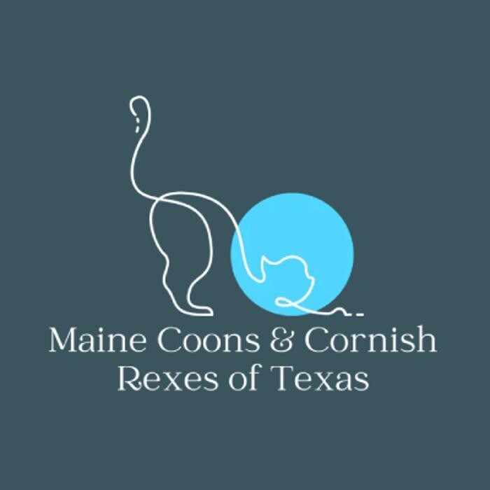 Round Rock, TX Logo