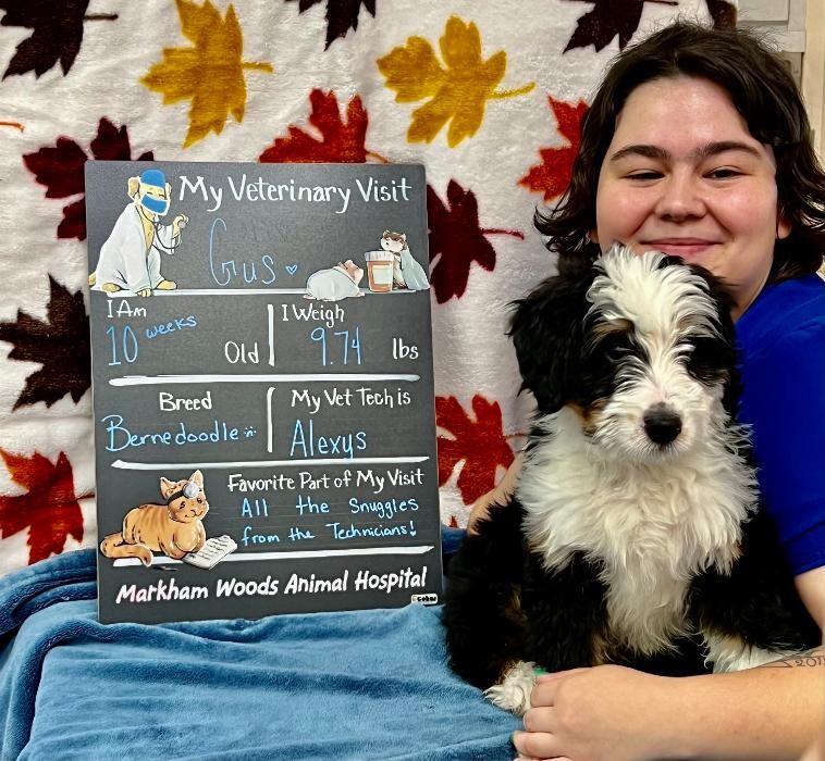 Images Markham Woods Animal Hospital