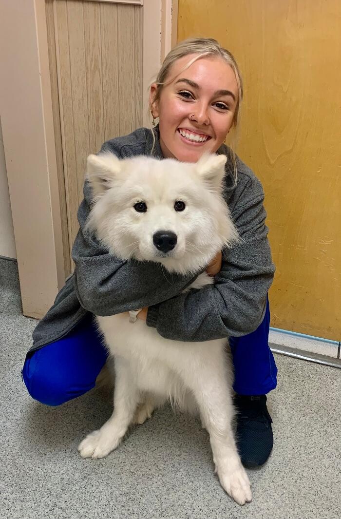 Images Markham Woods Animal Hospital