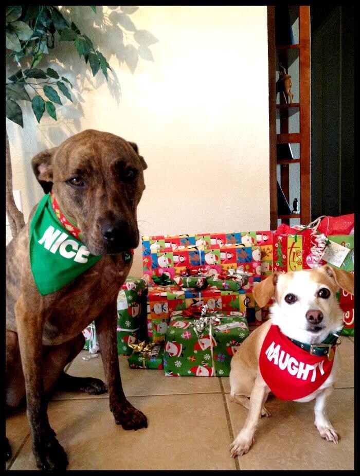 Images Markham Woods Animal Hospital