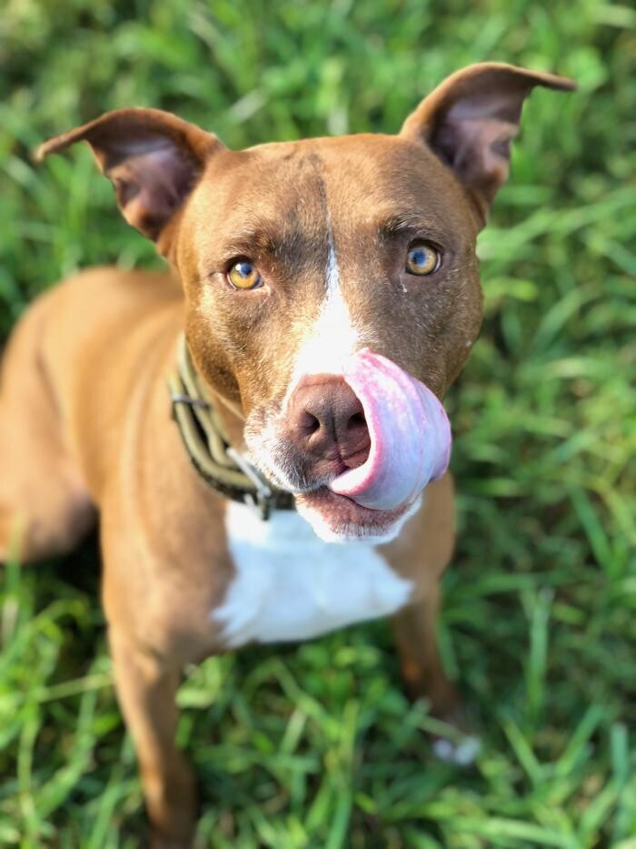 Images Markham Woods Animal Hospital