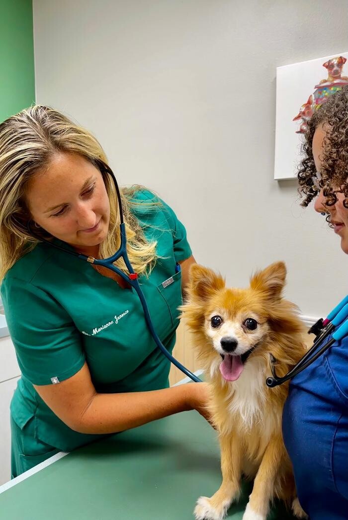 Images Markham Woods Animal Hospital