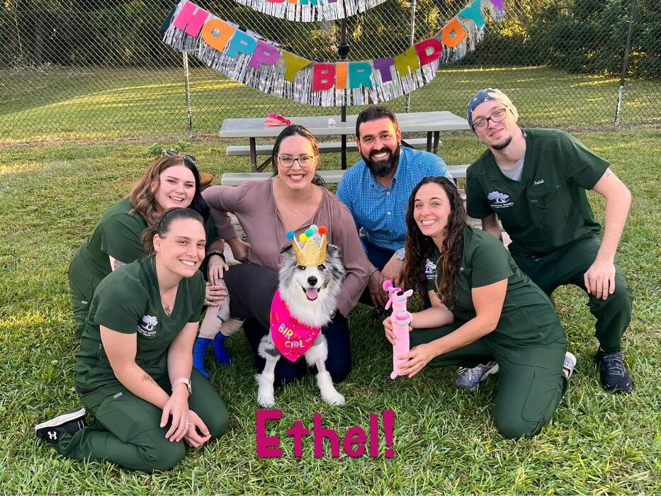 Images Markham Woods Animal Hospital