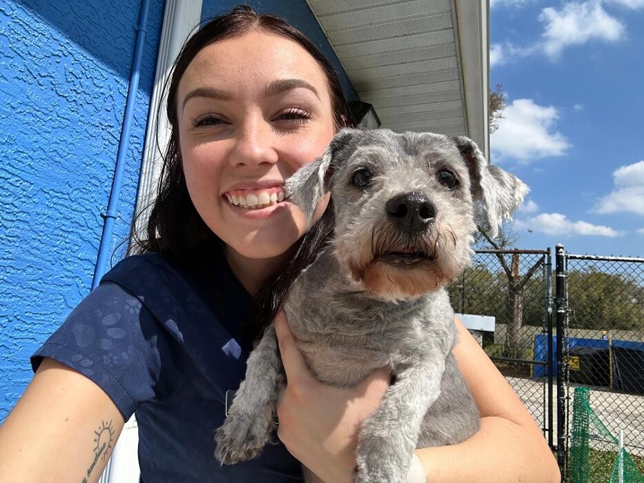 Images Markham Woods Animal Hospital