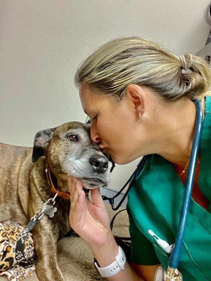 Images Markham Woods Animal Hospital