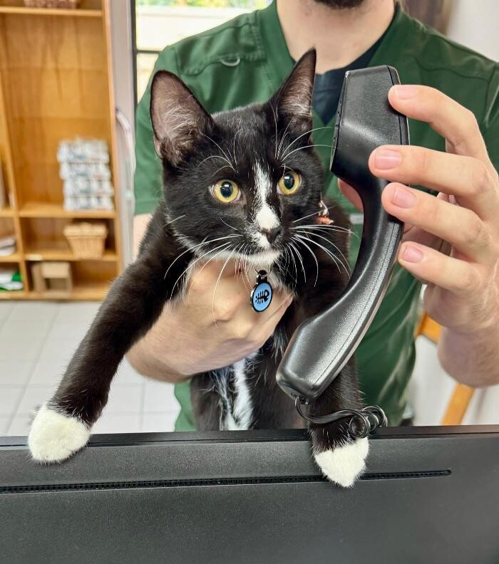 Images Markham Woods Animal Hospital