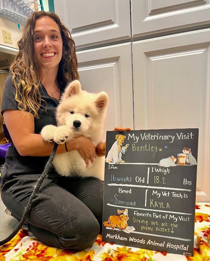 Images Markham Woods Animal Hospital