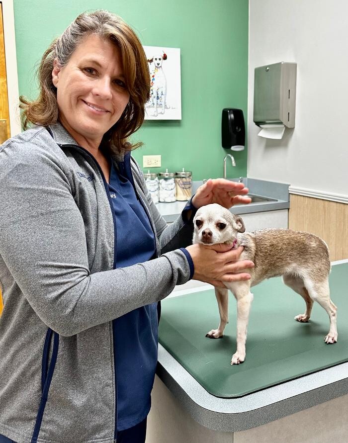 Images Markham Woods Animal Hospital