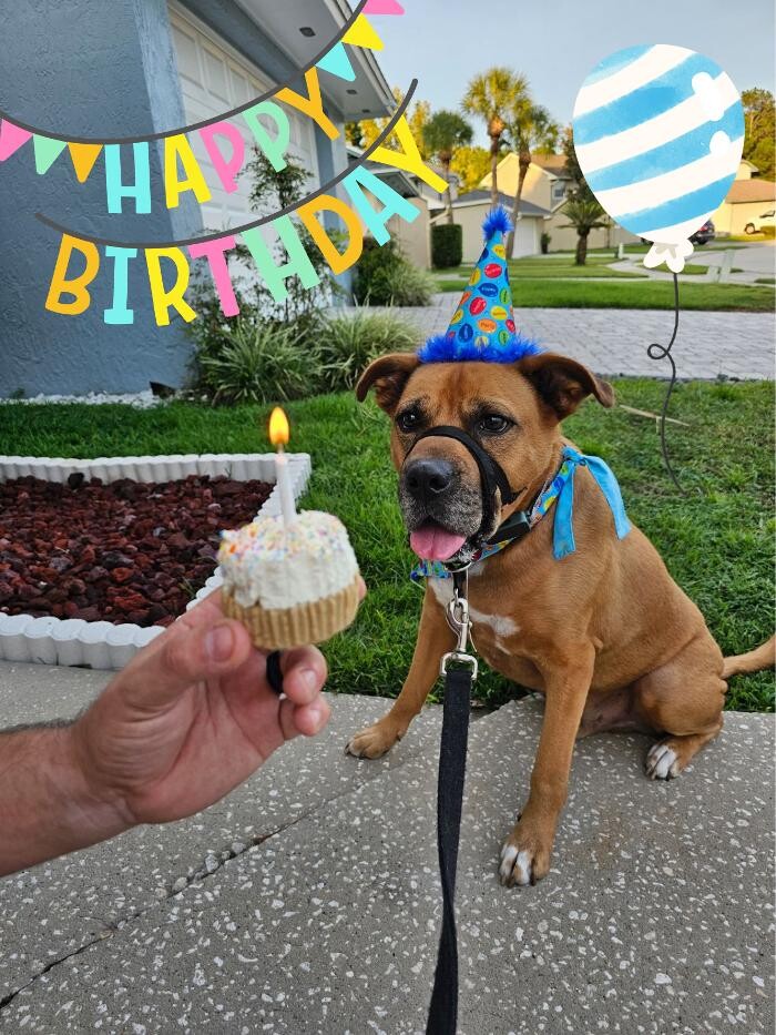 Images Markham Woods Animal Hospital