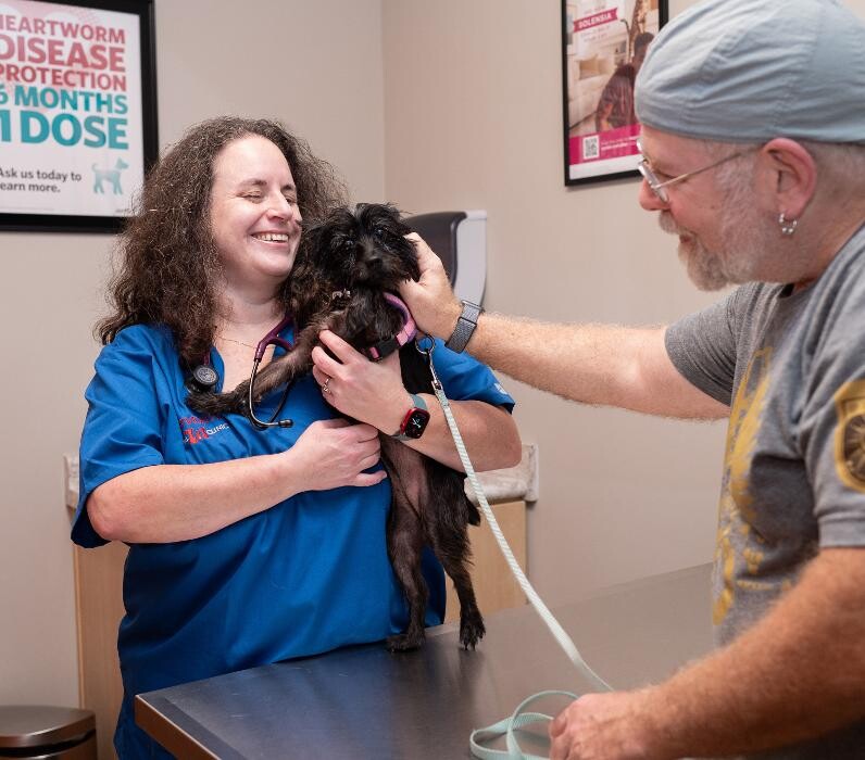 Images Westmonte Animal Clinic