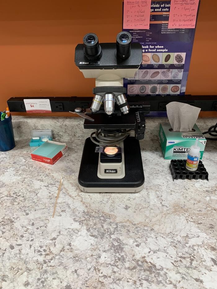 Images Westmonte Animal Clinic