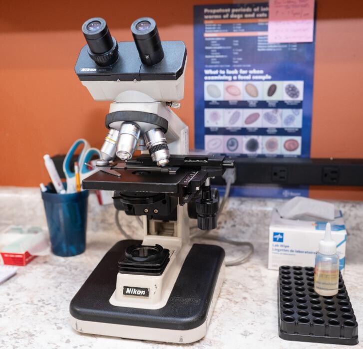 Images Westmonte Animal Clinic