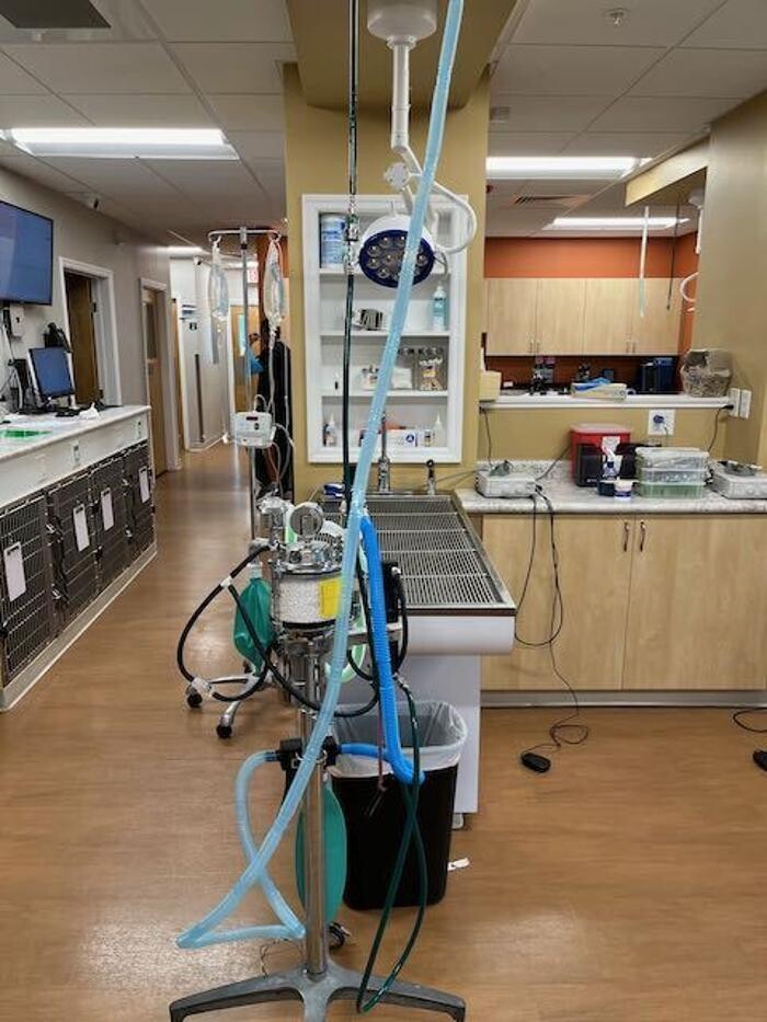 Images Westmonte Animal Clinic