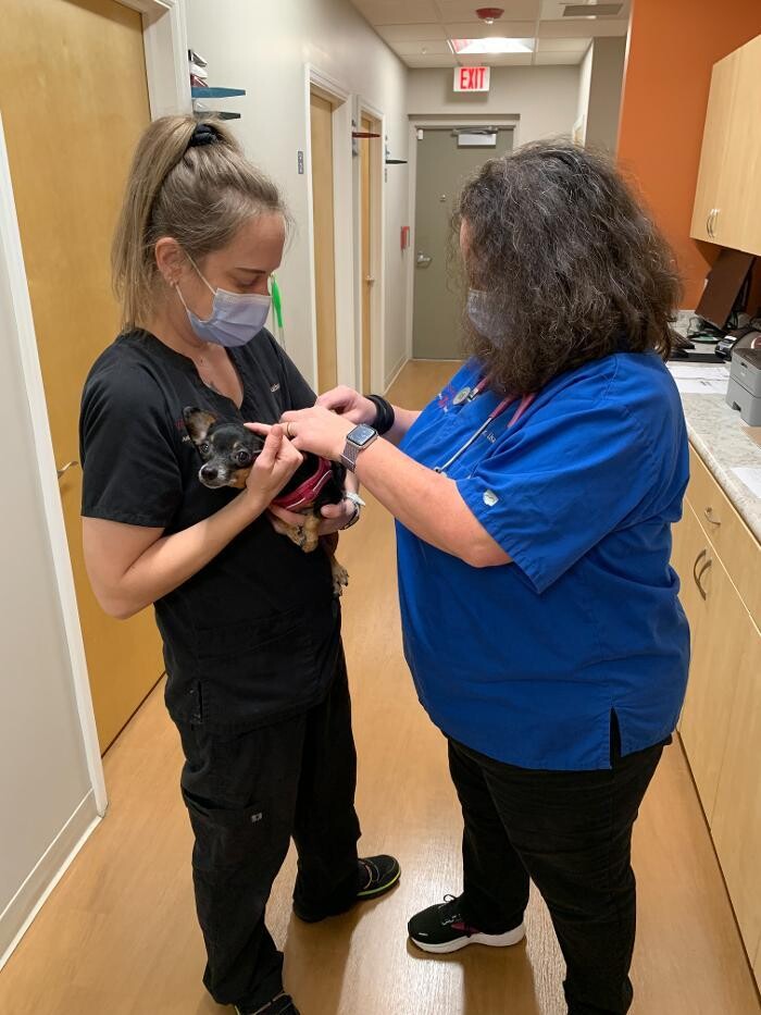 Images Westmonte Animal Clinic