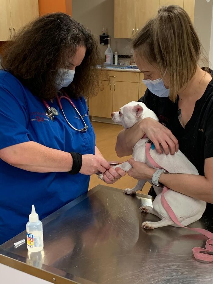 Images Westmonte Animal Clinic