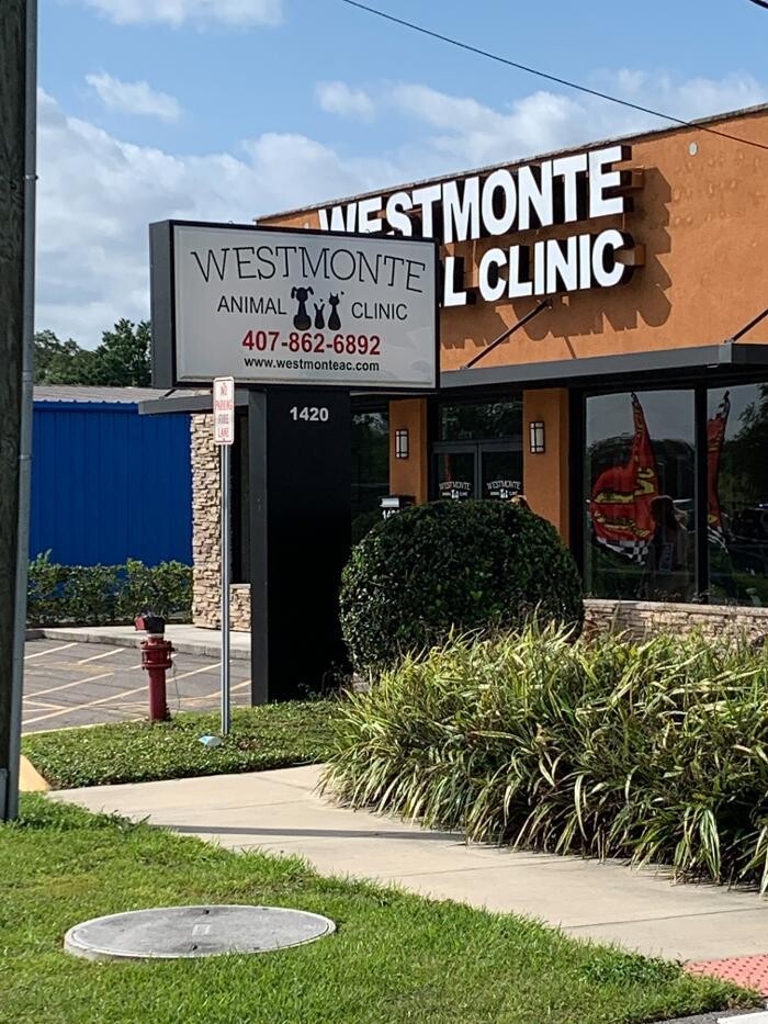 Images Westmonte Animal Clinic