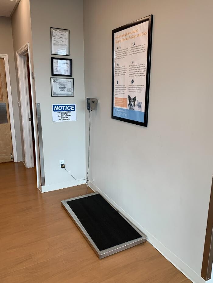 Images Westmonte Animal Clinic