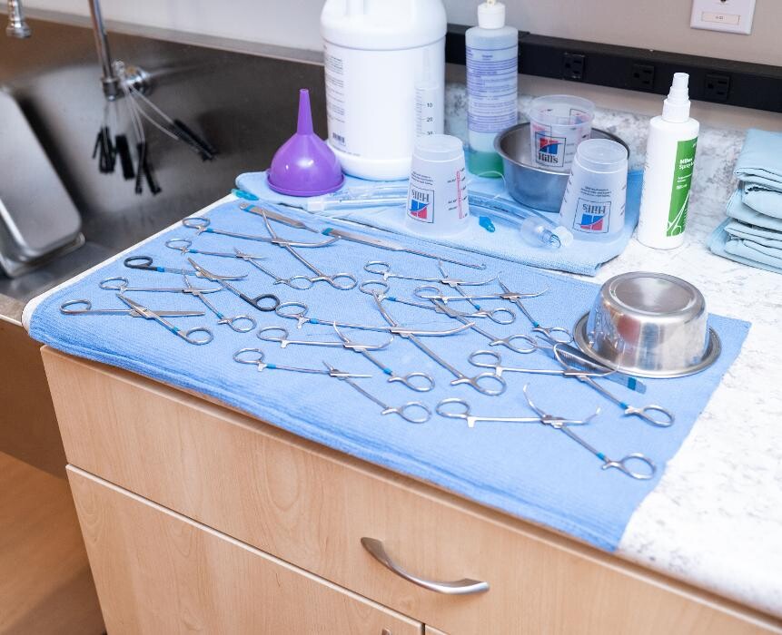 Images Westmonte Animal Clinic