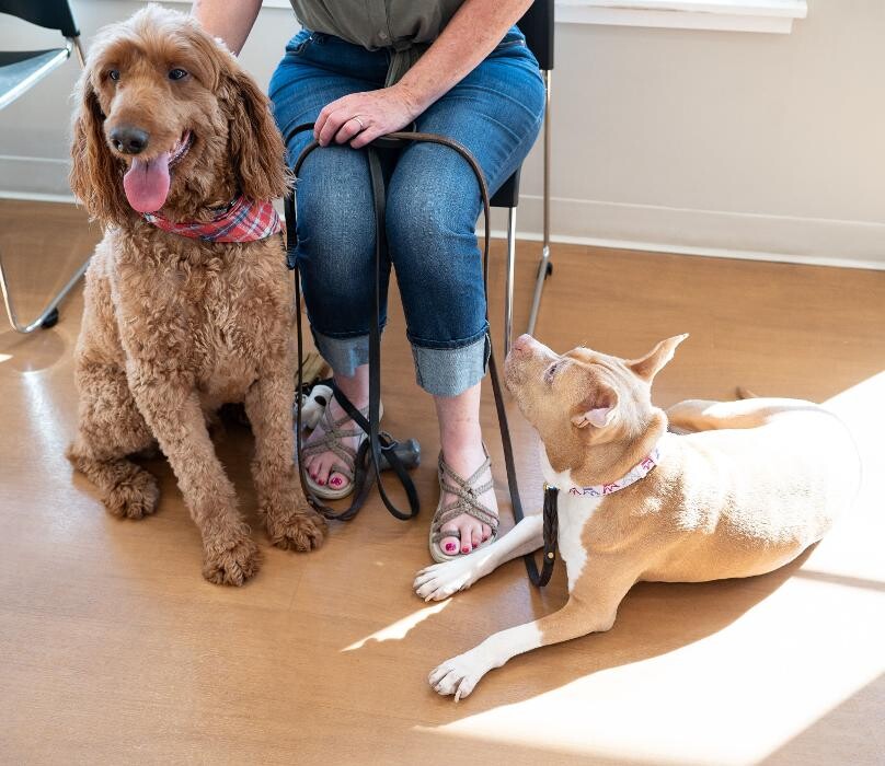 Images Westmonte Animal Clinic