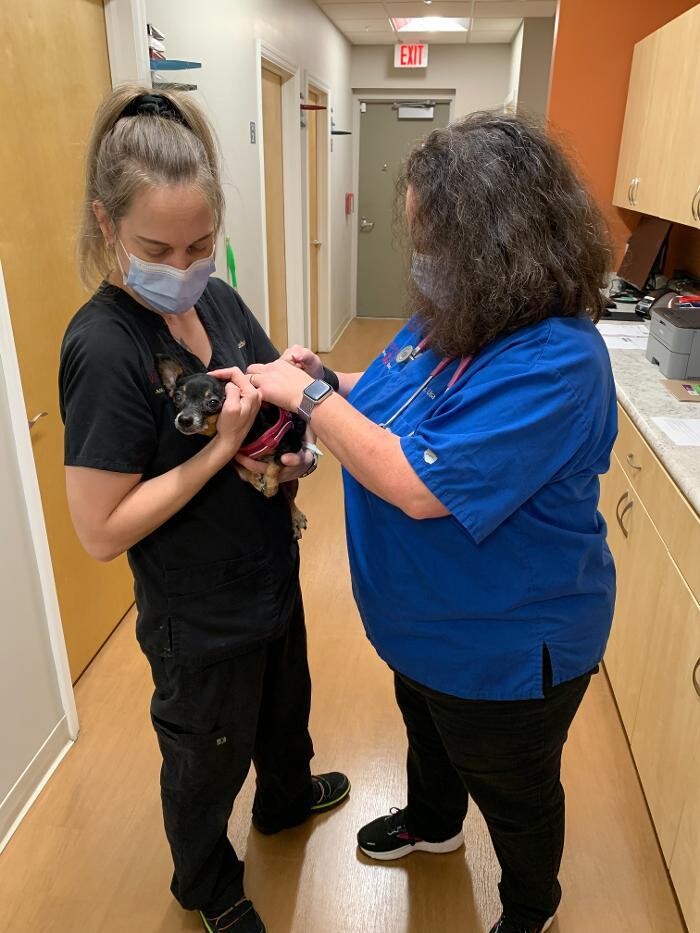 Images Westmonte Animal Clinic