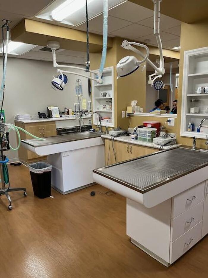 Images Westmonte Animal Clinic