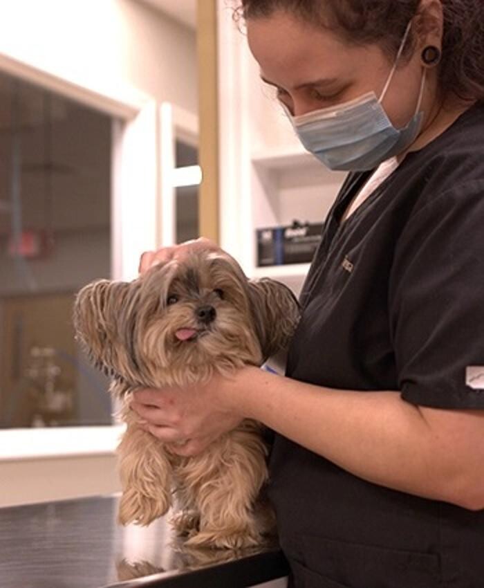 Images Westmonte Animal Clinic