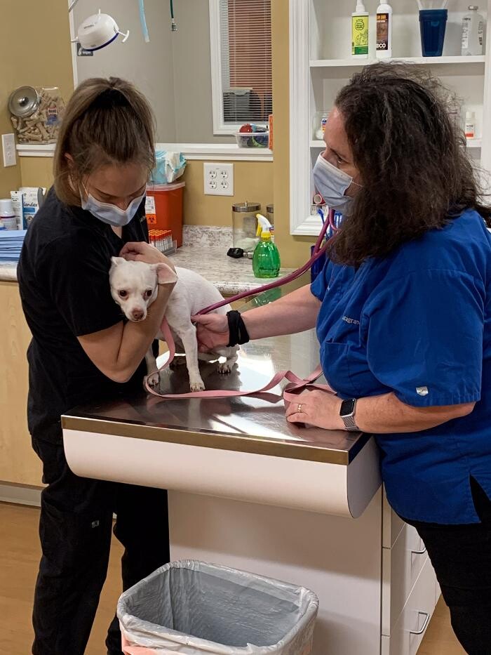 Images Westmonte Animal Clinic