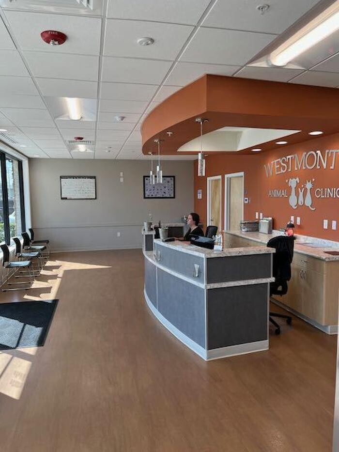 Images Westmonte Animal Clinic