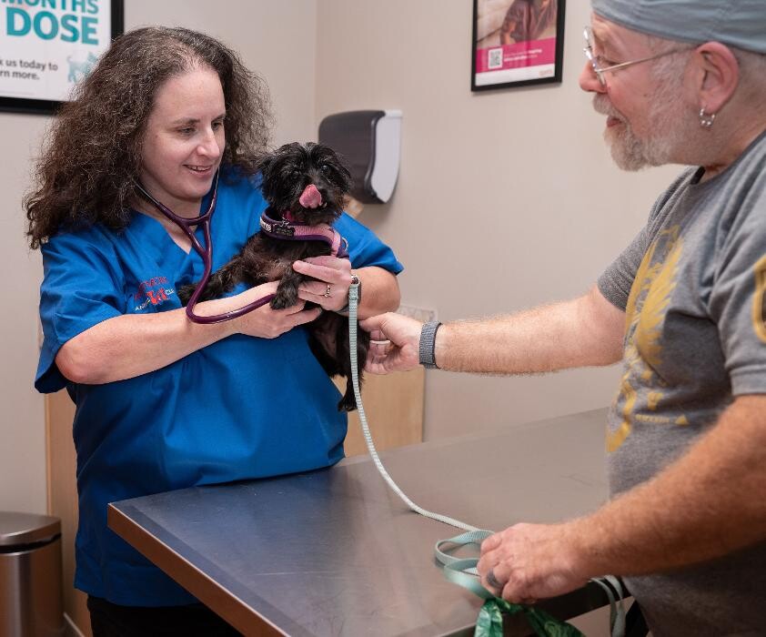 Images Westmonte Animal Clinic