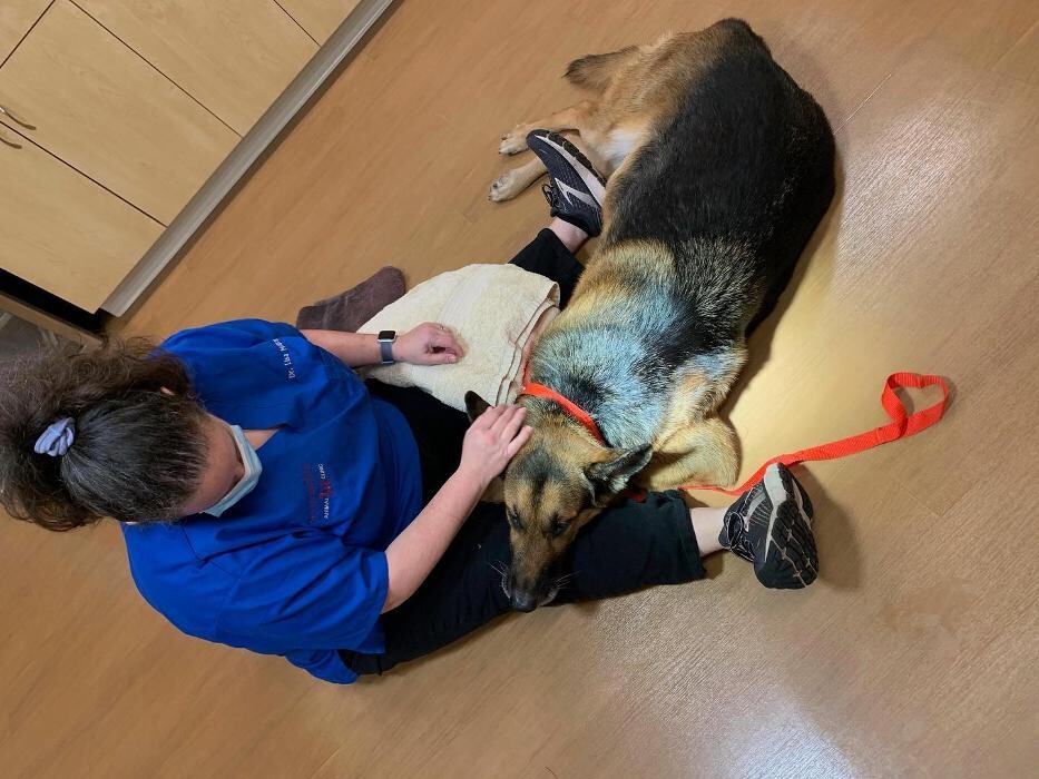 Images Westmonte Animal Clinic