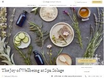 Website Screenshot The Spa at Solage