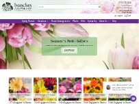 Website Screenshot Bunches (A Flower Shop) & Chicago Flower Delivery