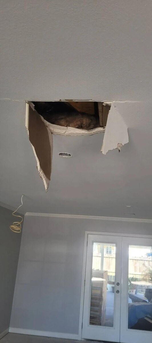 Images JDS DRYWALL, LLC