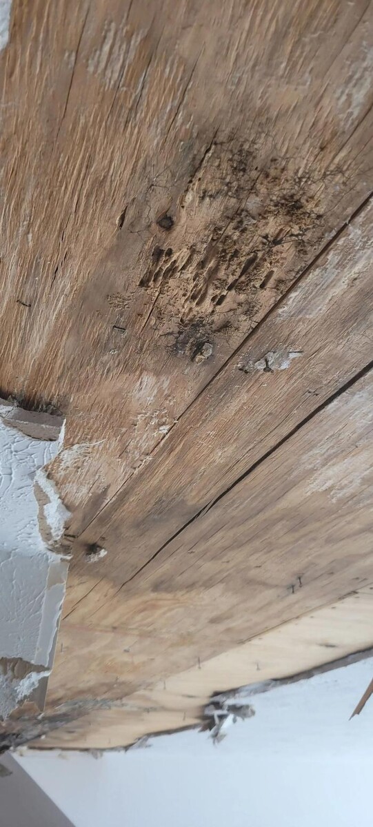 Images JDS DRYWALL, LLC