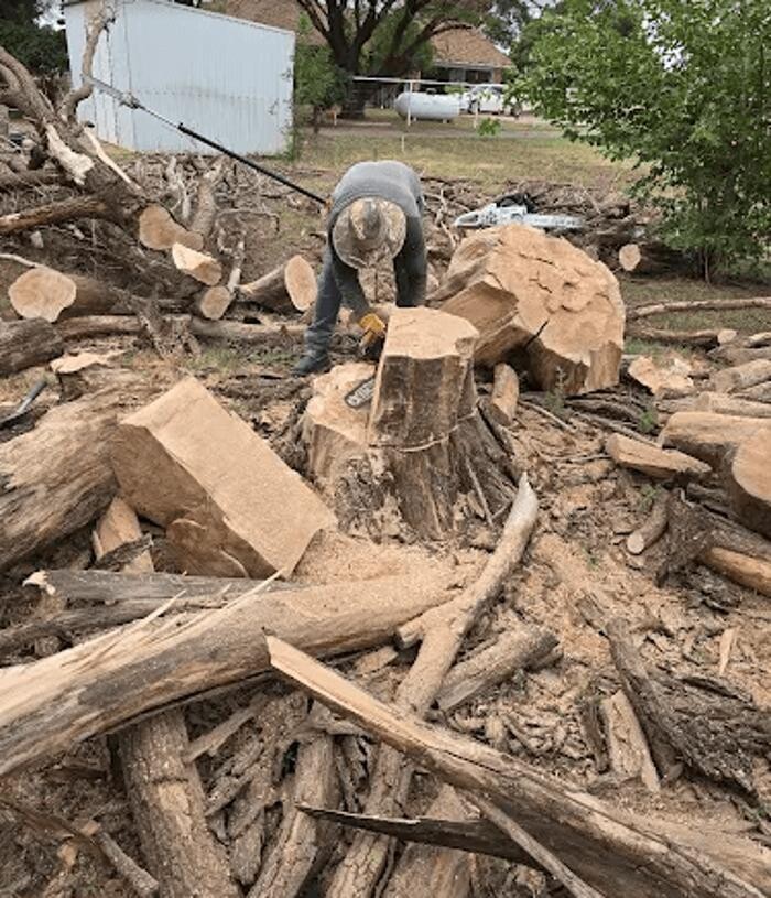 Images MTS Tree Services Texas