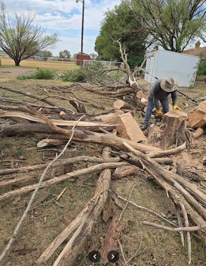 Images MTS Tree Services Texas