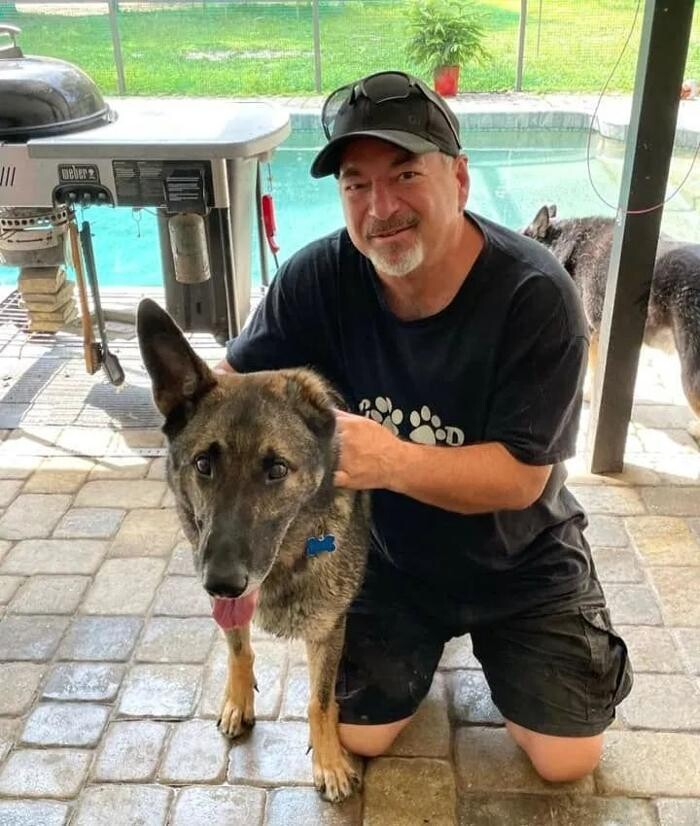 Images Good Dawg Dog Training