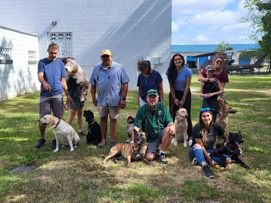 Images Good Dawg Dog Training