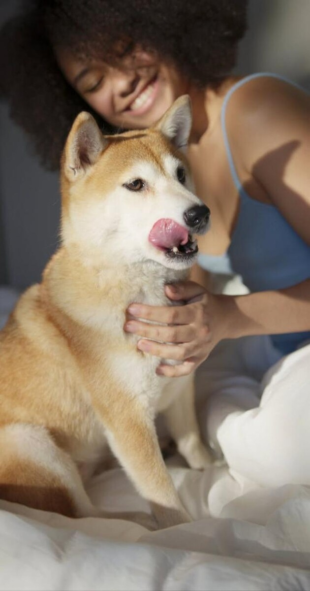 Images Good Dawg Dog Training