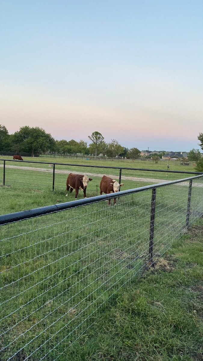 Images Freedom Fencing LLC
